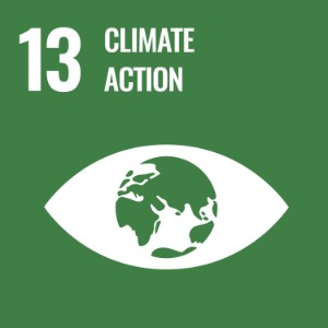 UN Sustainable Development Goal 13: Climate Action, represented by a globe on a green background