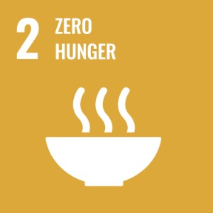 UN Sustainable Development Goal 2: Zero Hunger, represented by a steaming bowl on a yellow background