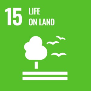 UN Sustainable Development Goal 15: Life on Land, represented by a tree and birds on a green background