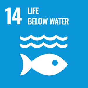 UN Sustainable Development Goal 14: Life Below Water, represented by a fish and water waves on a blue background