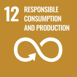 UN Sustainable Development Goal 12: Responsible Consumption and Production, represented by an infinity loop on a brown background