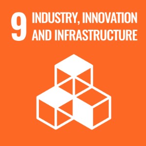 UN Sustainable Development Goal 9: Industry, Innovation, and Infrastructure, represented by a cube structure on an orange background