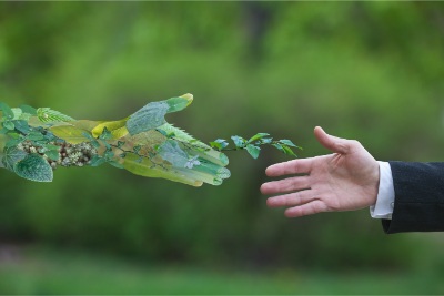Hand holding a small plant in a forested area